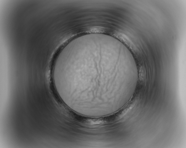 X0000095690351200802051317
