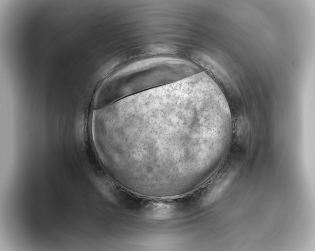 X0000095690352200802051317