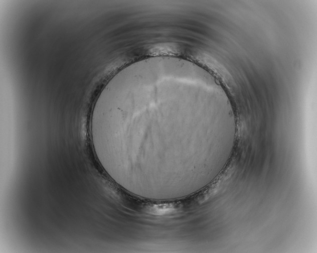 X0000095690353200802051317