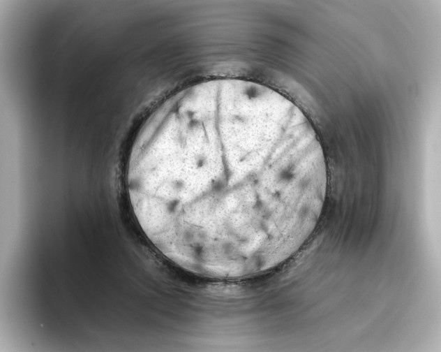 X0000095690354200802051317