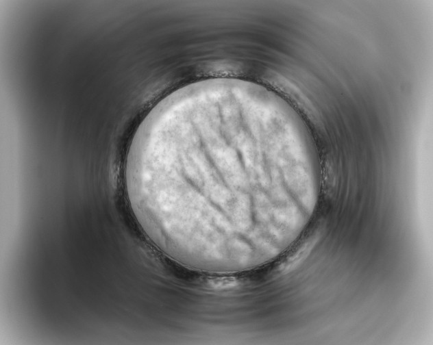 X0000095690355200802051317