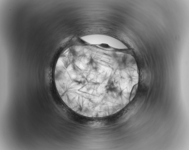 X0000095690356200802051317