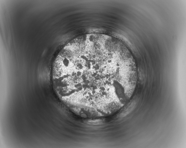 X0000095690357200802051317