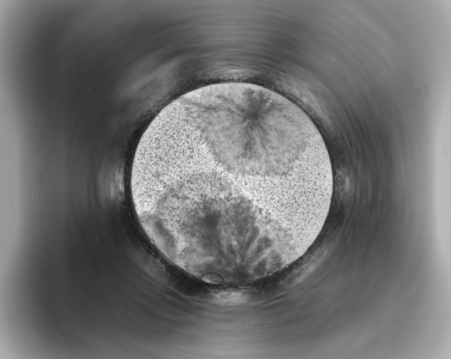 X0000095690358200802051317