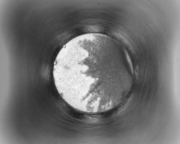 X0000095690359200802051317
