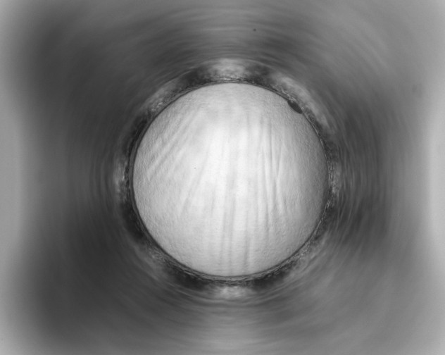 X0000095690360200802051317
