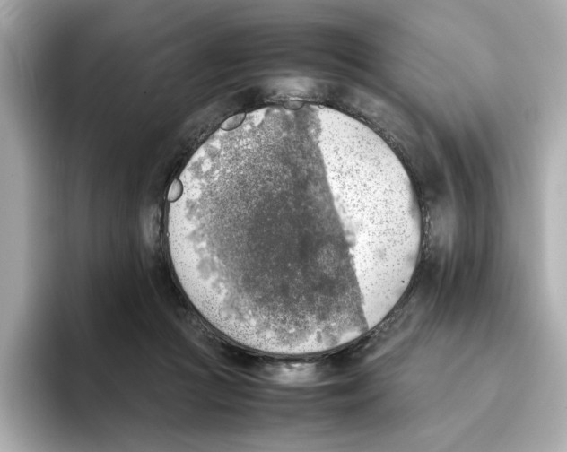 X0000095690361200802051318