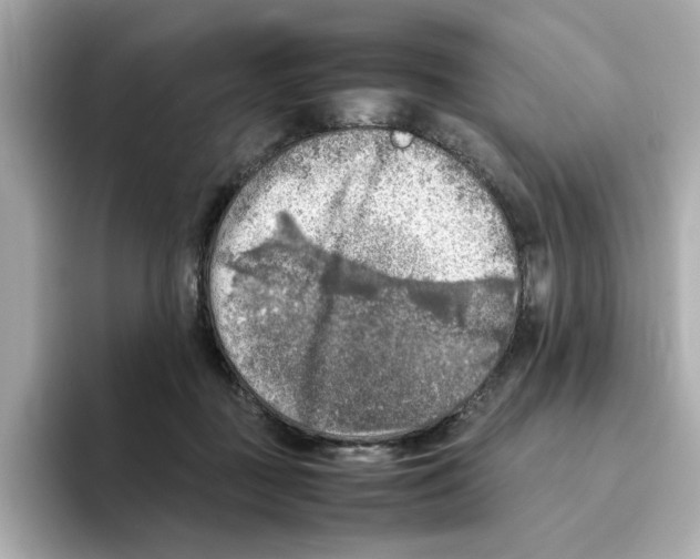 X0000095690363200802051318