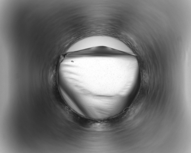 X0000095690364200802051318