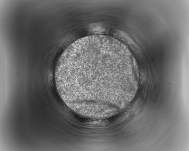 X0000095690365200802051318