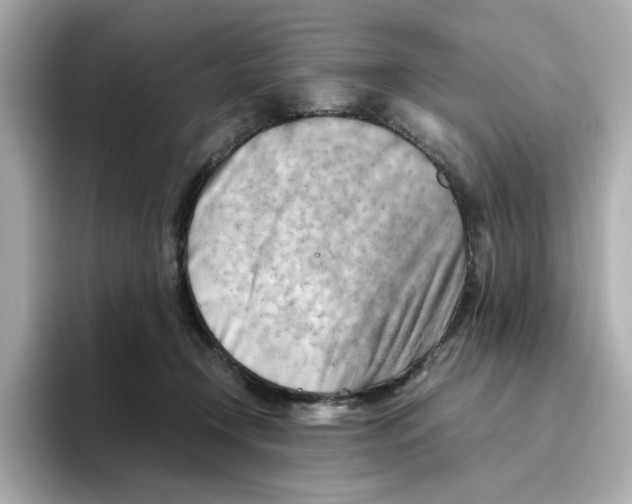 X0000095690366200802051318