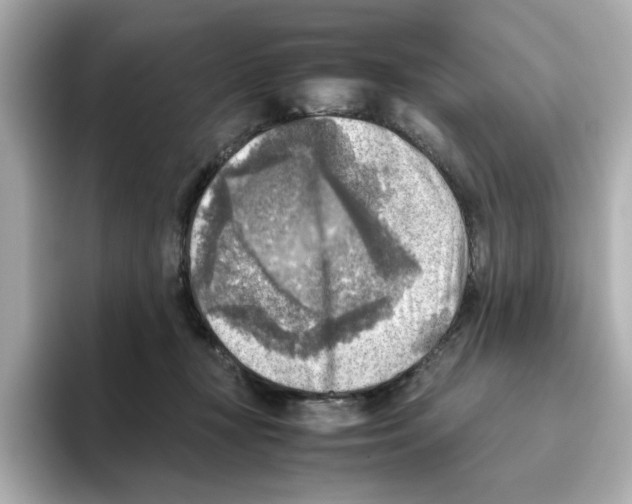 X0000095690367200802051318