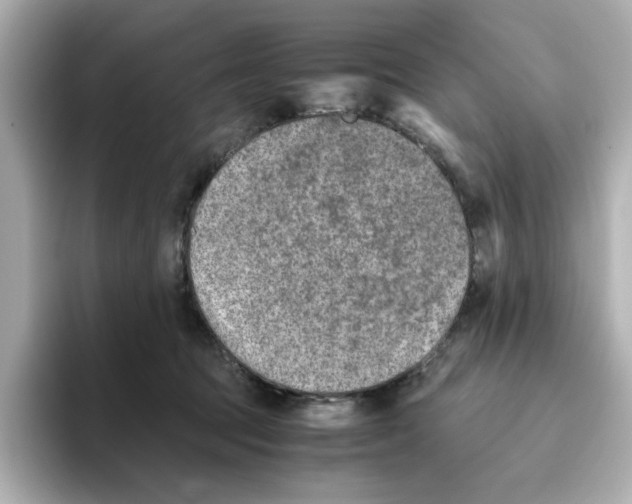 X0000095690369200802051318