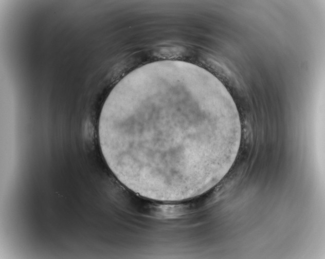 X0000095690371200802051318