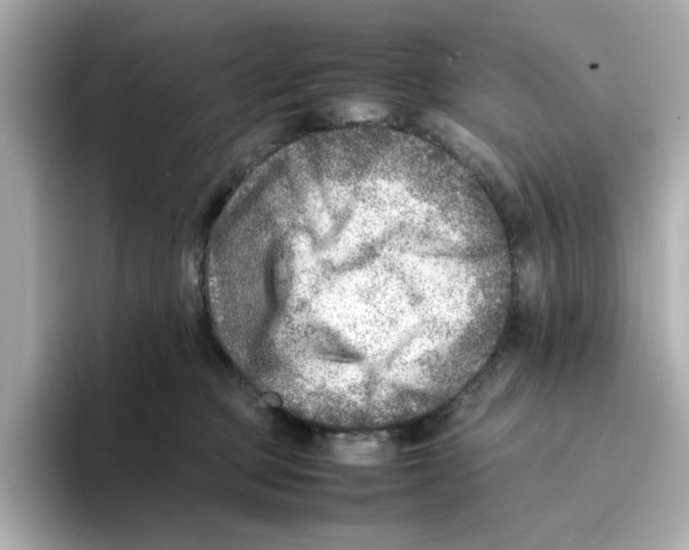X0000095690373200802051318