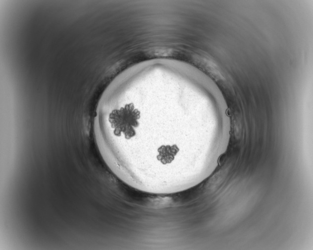 X0000095690374200802051318