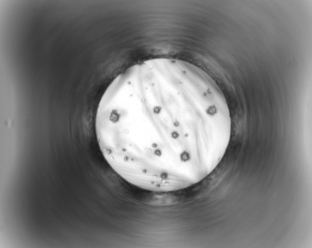 X0000095690376200802051318