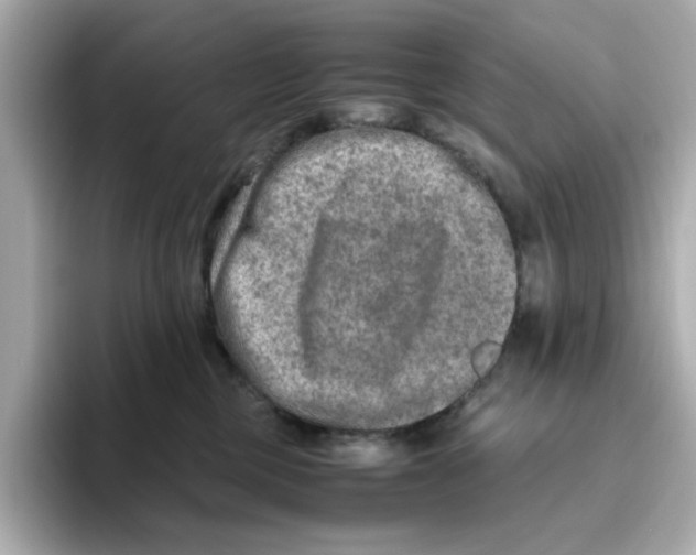 X0000095690377200802051318