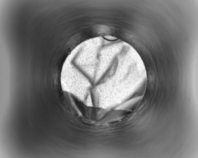 X0000095690379200802051318