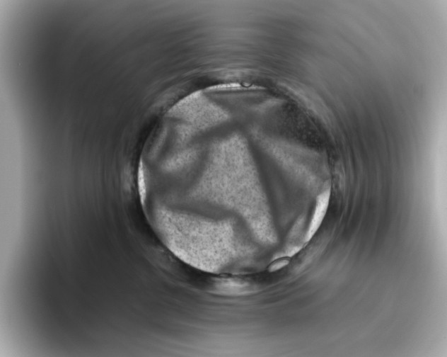 X0000095690380200802051318
