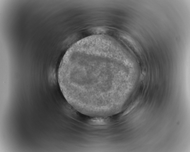 X0000095690381200802051318