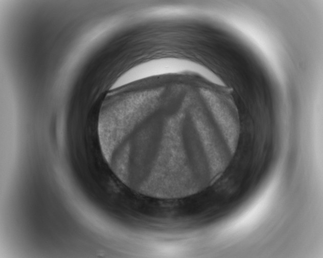 X0000095690382200802051318