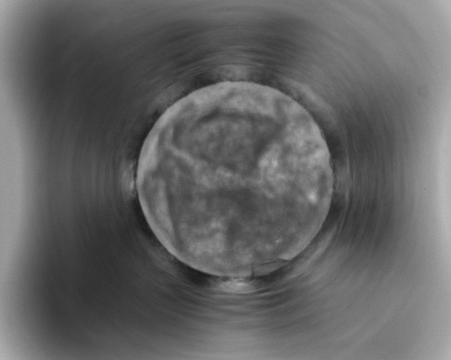 X0000095690383200802051318