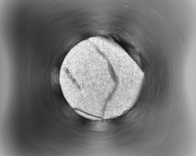 X0000095690384200802051318