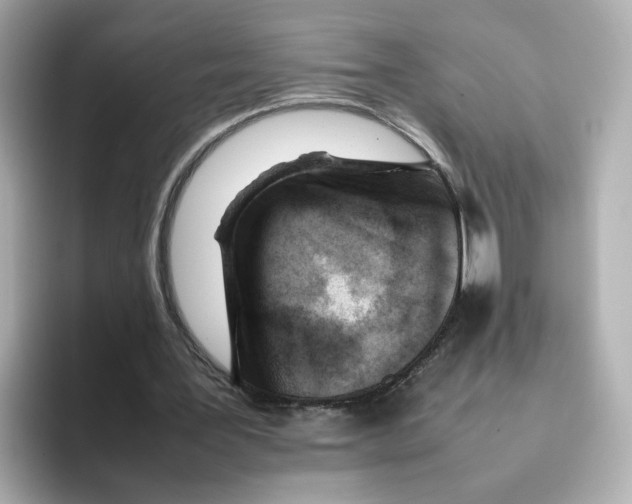 X0000095690387200802051317