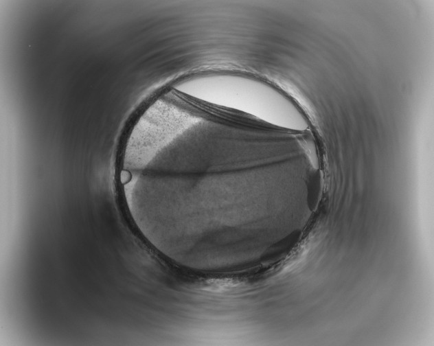 X0000095690391200802051317