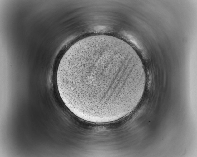 X0000095690392200802051317