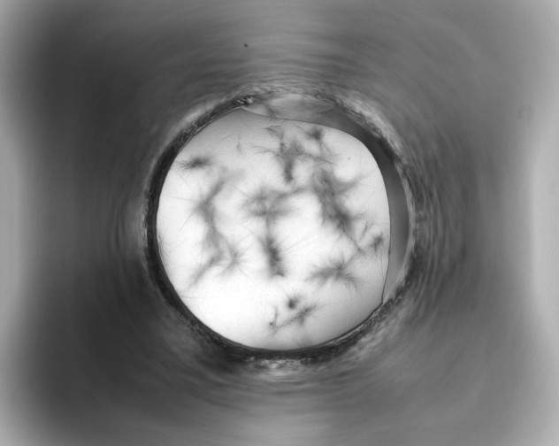 X0000095690395200802051317