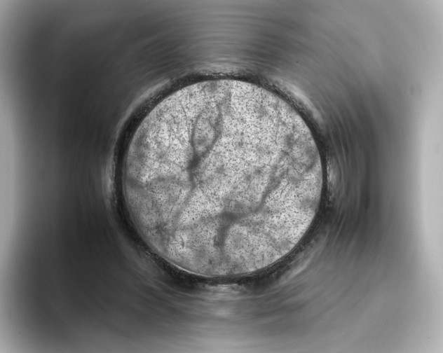 X0000095690396200802051317