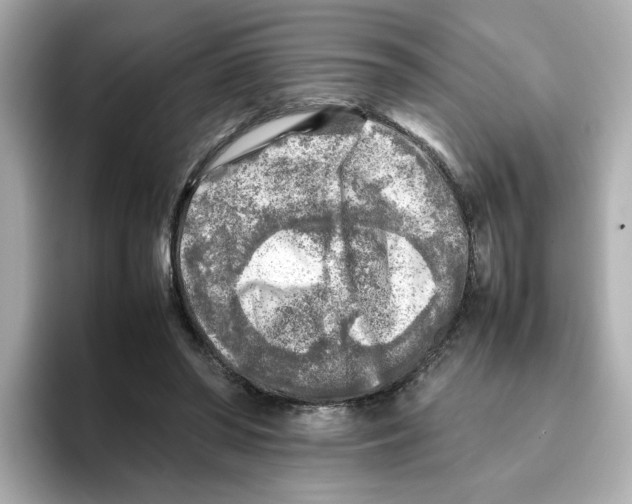 X0000095690398200802051317