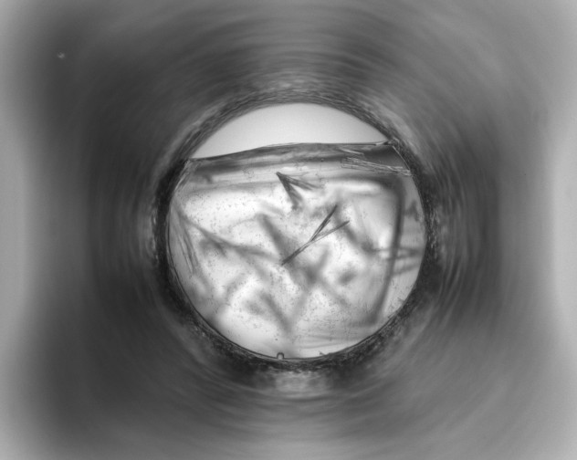 X0000095690400200802051317