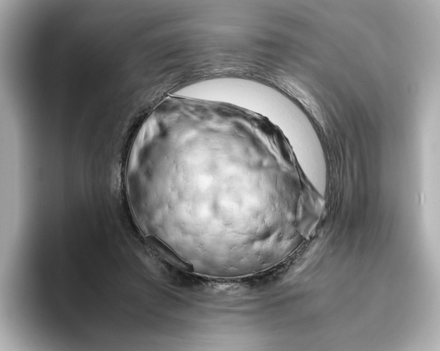 X0000095690401200802051317