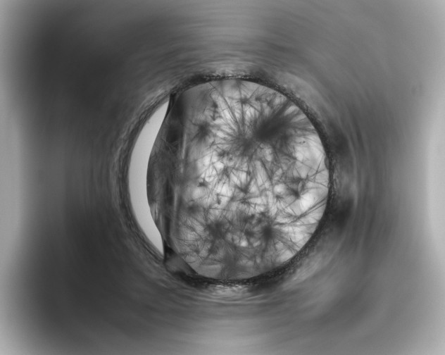 X0000095690403200802051317