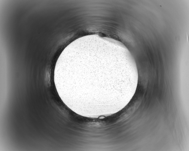 X0000095690404200802051317