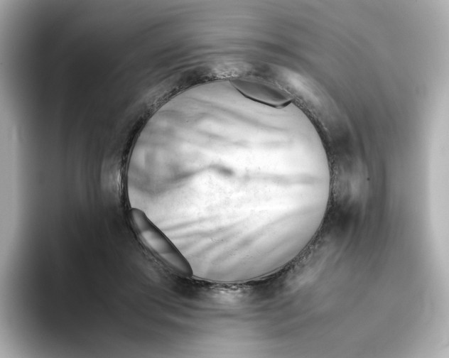 X0000095690405200802051317