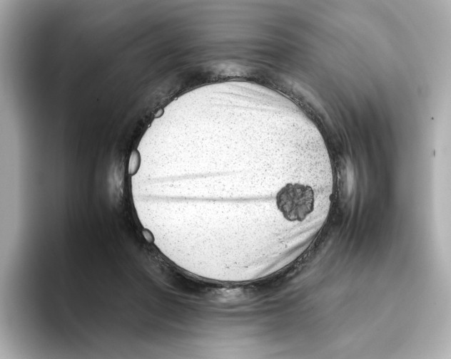 X0000095690406200802051317