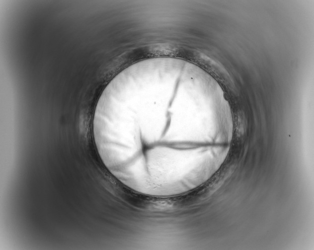 X0000095690409200802051317