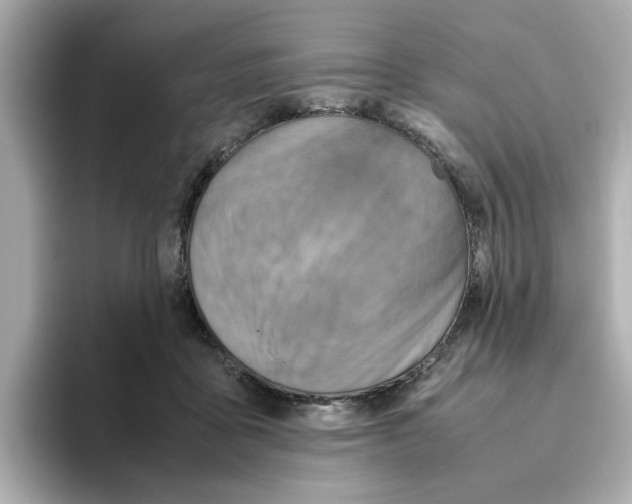 X0000095690411200802051317