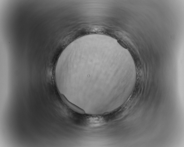 X0000095690415200802051317