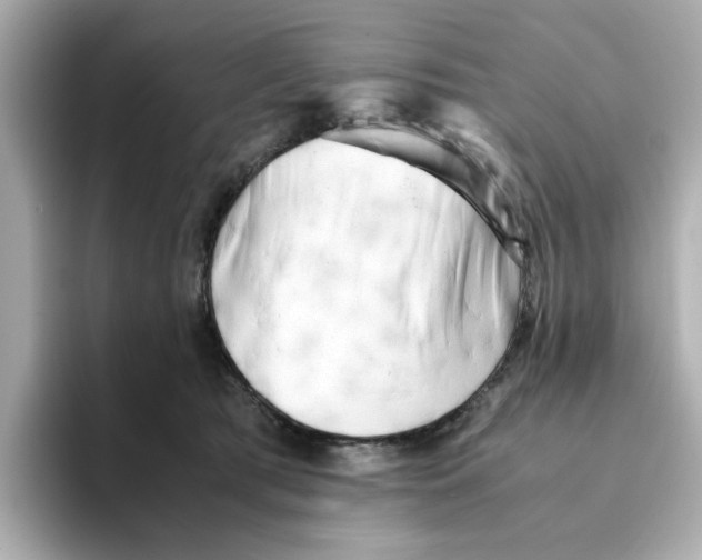 X0000095690417200802051317