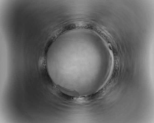 X0000095690419200802051317