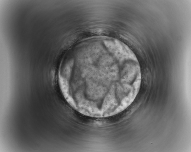 X0000095690420200802051317