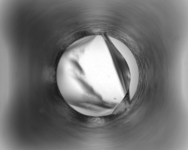 X0000095690421200802051317