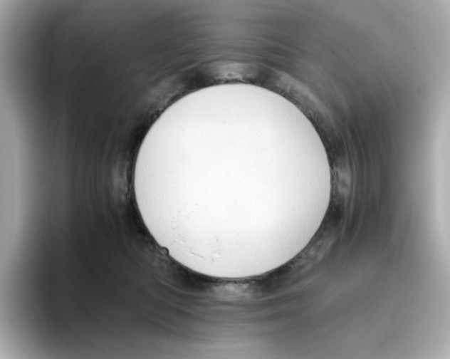 X0000095690422200802051317