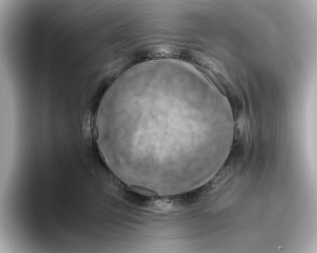 X0000095690423200802051317