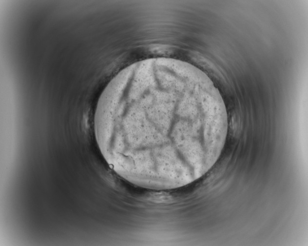 X0000095690424200802051317